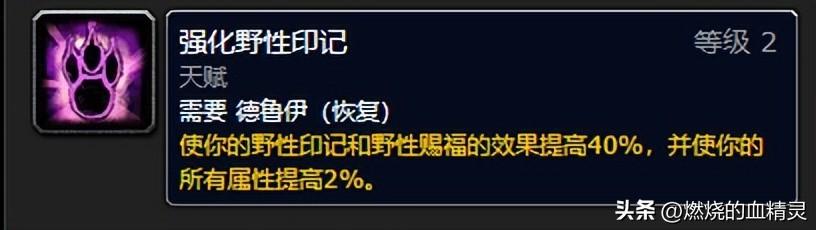 wlk熊坦毕业装备推荐（魔兽wlk团本前期德鲁伊坦克毕业装备）