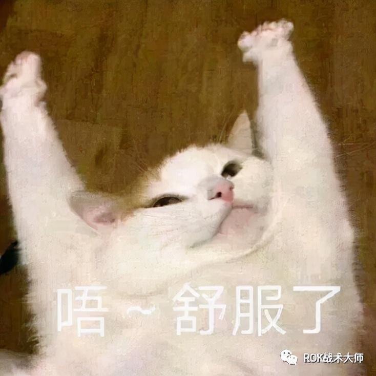 万国觉醒新版怒海争锋怎么玩（万国觉醒怒海争锋各兵种船详细打法）