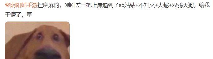 阴阳师最适合平民玩家的阵容（阴阳师斗技平民最强上分阵容）