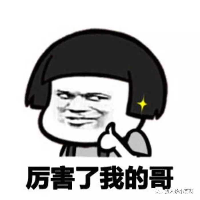 狼人杀怎么玩法介绍（狼人杀史上最全面玩法详解）