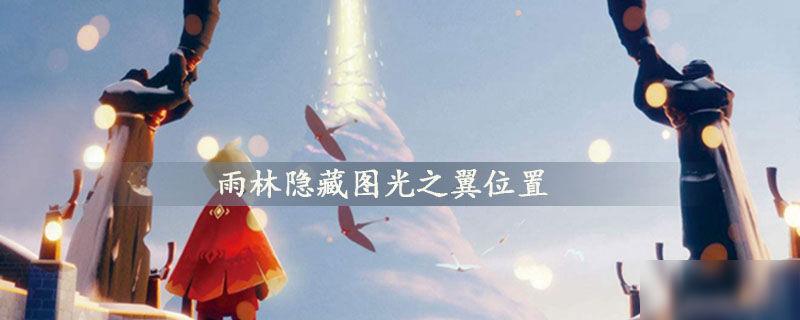 光遇雨林翅膀所有位置（光遇雨林翅膀全部位置详细介绍）