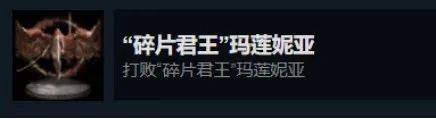 艾尔登法环白金奖杯条件（艾尔登法环白金全BOSS击杀奖杯）