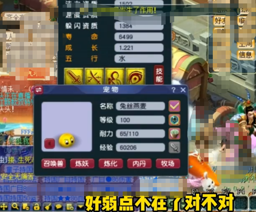 梦幻打书技能位置图（梦幻打书技能搭配攻略）