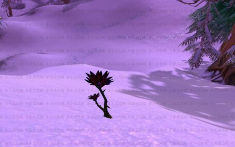 燃烧的远征黑莲花刷新点分布图（魔兽世界黑莲花采集地图及刷新点汇总）