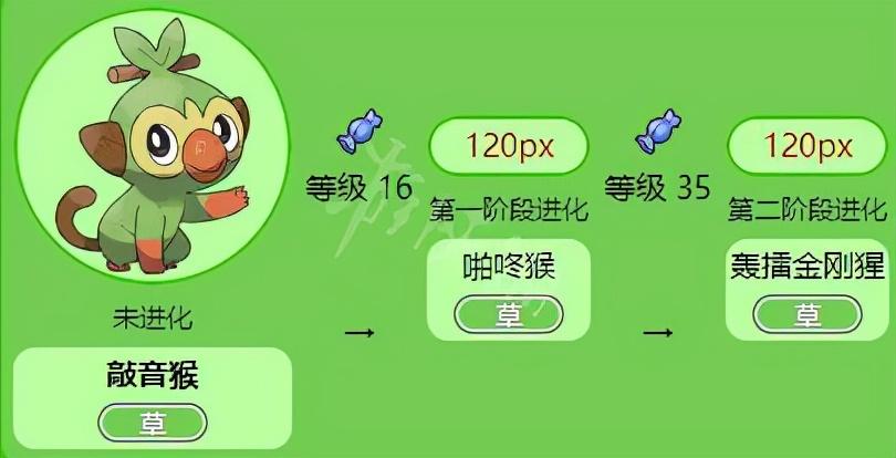 神奇宝贝剑盾属性（宝可梦剑盾最佳属性搭配）